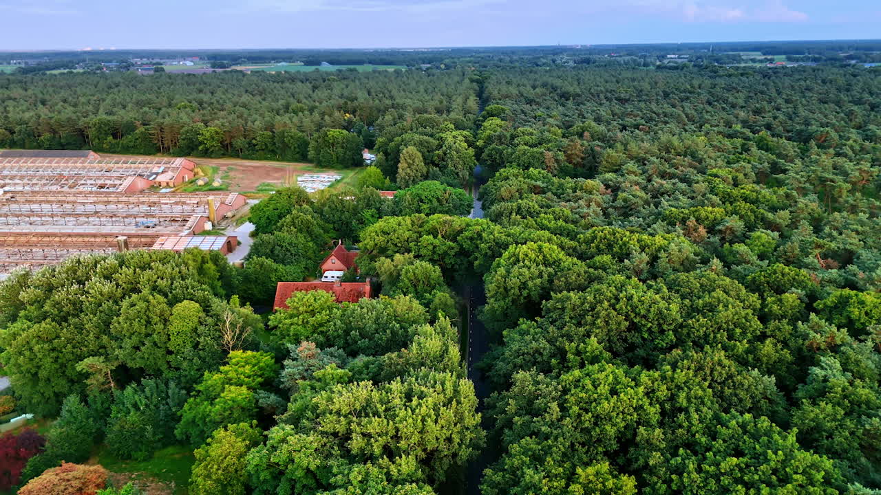 Green forest, winding road, farms. Aerial view of dense green forest featuring a winding road and scattered agricultural fields in the distance