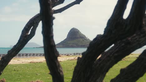disparo en cámara lenta de chinos sombrero mokoli'i en oahu hawaii disparo a través de algunas ramas de árboles con la playa y el océano en la distancia