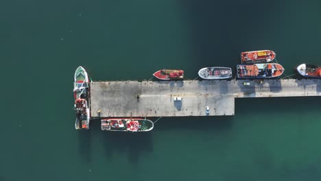 tracking docks at harbour