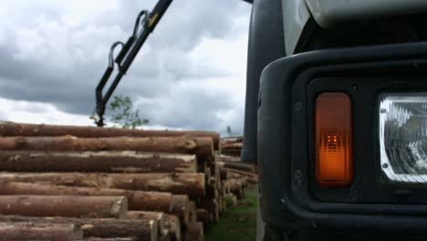 Modern logger working in sawmill. Powerful tree logger lifting logs