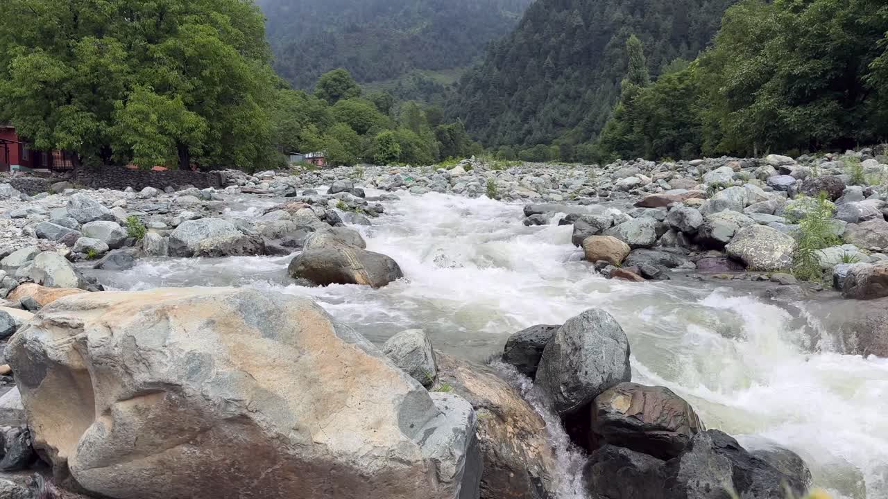 Nature Beauty, Travel Through Kashmir Green Landscapes, Birds, Water, Plants and the Life of Indian Farmers, ploughing bull and Environment Lovers