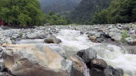nature beauty, travel through kashmir green landscapes, birds, water, plants and the life of indian farmers, ploughing bull and environment lovers