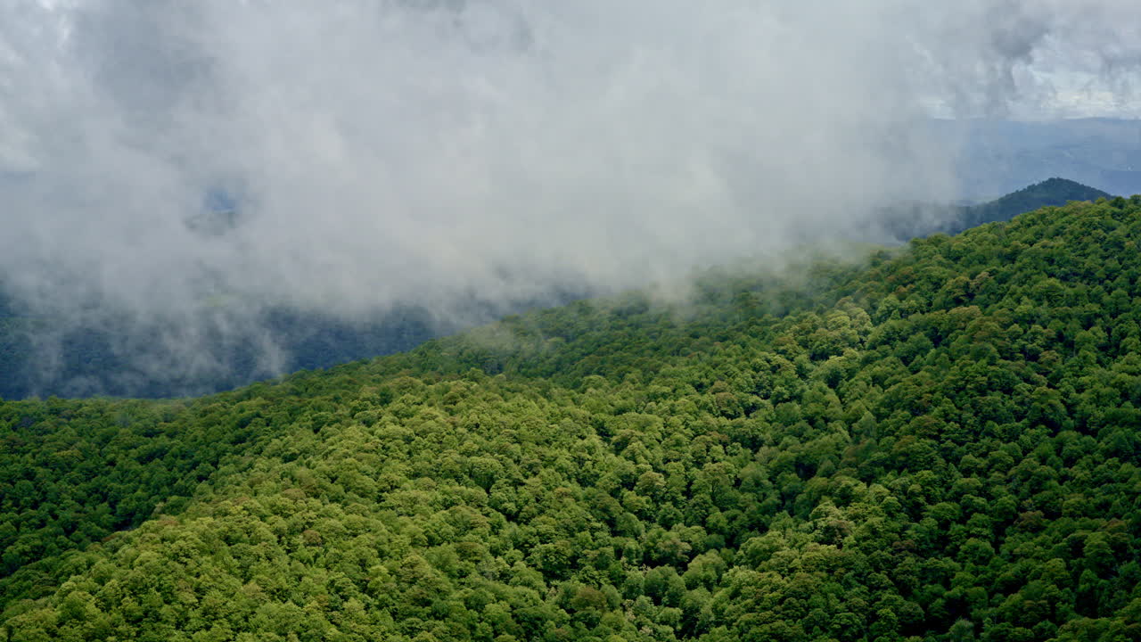Aerial drone sweeping across the vast Smokies under a veil of rain and fog
