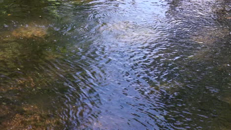 Remolinos-Y-Ondas-En-El-Agua-De-Un-Arroyo-Que-Fluye