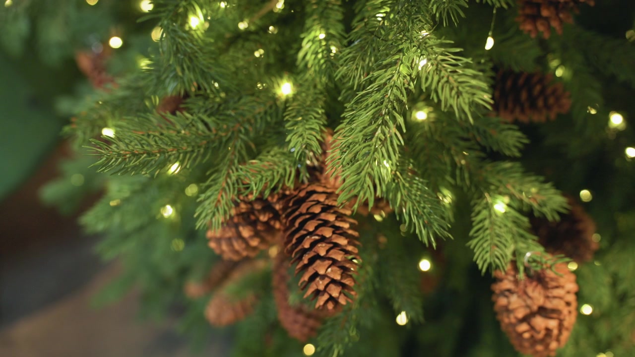 Nahaufnahme eines Weihnachtsbaums mit Tannenzapfen und funkelnden Lichtern.