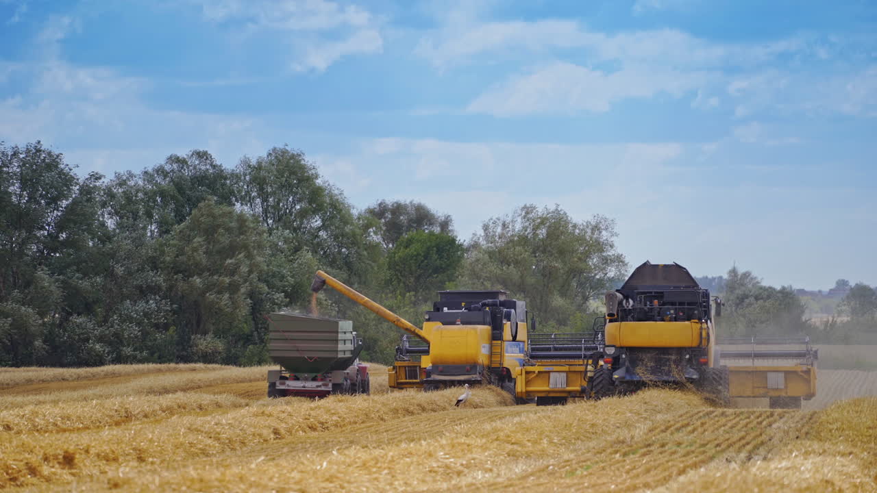 Rural farmland landscape. Combine and tractor on wheat cereal field