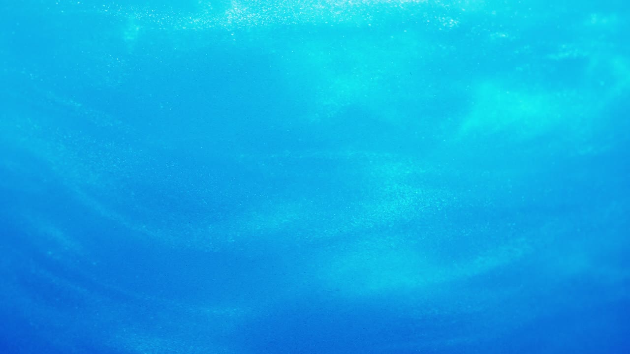 밝은 파란색 반이는 액체 회전