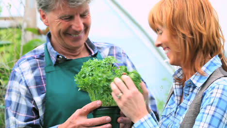 Mujer-Alegre-Comprando-Plantas-Hablando-Con-El-Jardinero.