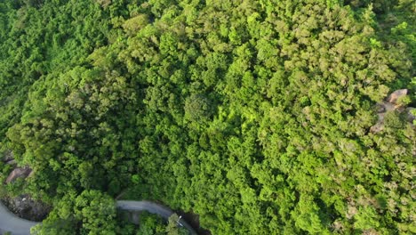 Aerial-view-of-a-narrow-winding-mountain-road-surrounded-by-lush-green-nature