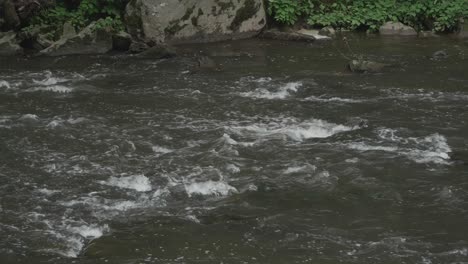 El-Arroyo-Wissahickon,-Fluyendo-Sobre-Rocas-Y-Piedras