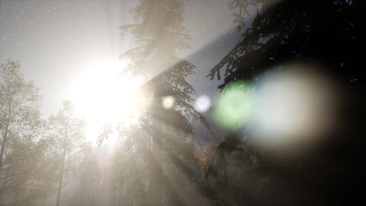 estrellas de la vía láctea con la luz de la luna sobre el bosque de pinos