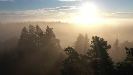 drone aerial view of fog over the forest