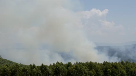 bushfire smoke above forest and hill in mountains