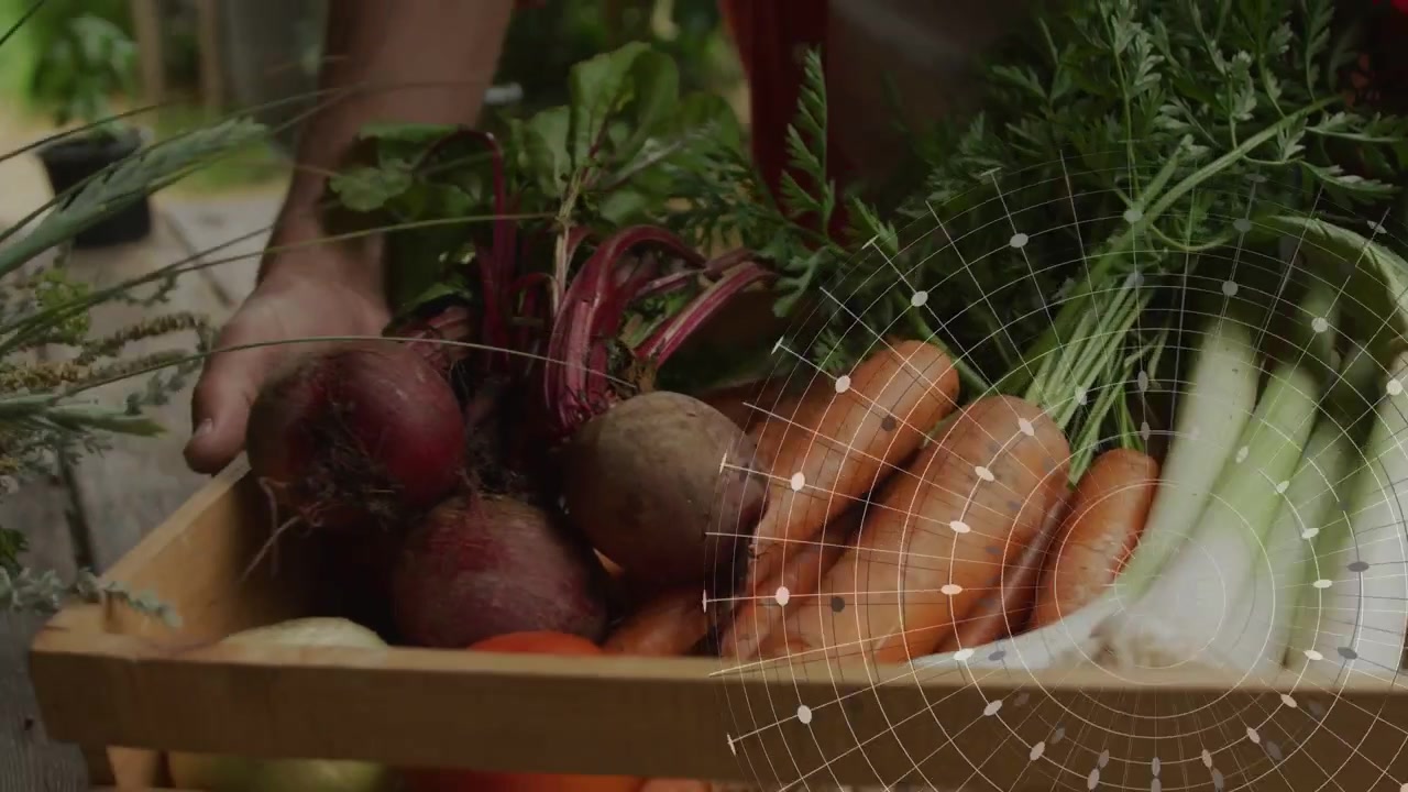 Vendor hands reaching crate on deck as radial grid building causing lifting and moving produce