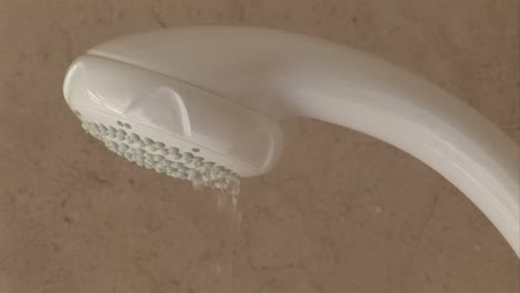 shower head