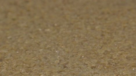 extreme closeup of flapjack cake mixture is cut into slices by a robotic blade as the mix moves along the conveyor