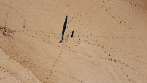 Imágenes-Aéreas-Capturan-A-Una-Persona-Caminando-Tranquilamente-En-Una-Playa-De-Arena-Bañada-Por-El-Sol.