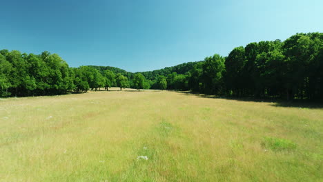 flying over golden fields and trees near war eagle mill in benton county, arkansas, usa