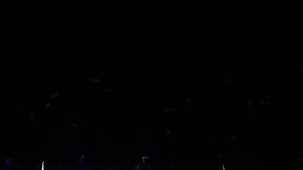 밤하늘에 화려한 불꽃이 터진다. 밝은 색상의 축하 및 이벤트.