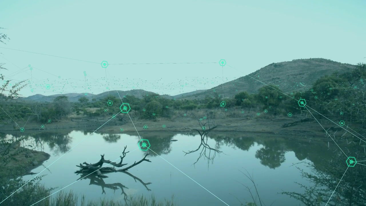 Superposition cyan pâle, des nœuds sarcelle partent et coulent vers un étang, se déposant près d'une bûche et d'une branche, cartographiant un réseau.