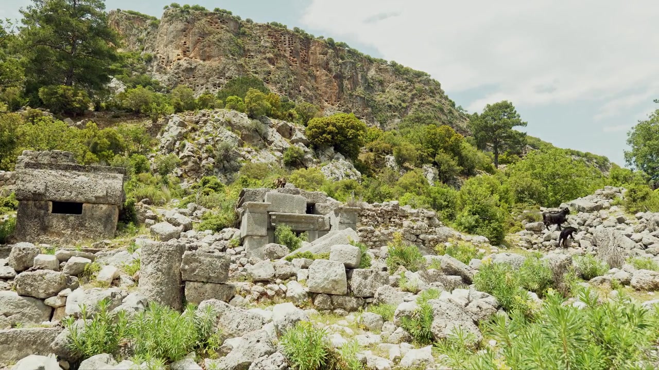 Capre che vagano tra le tombe licie di Pinara in un paesaggio roccioso e scosceso