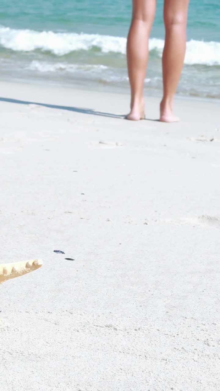 vista trasera de la mujer y la estrella de mar en la playa
