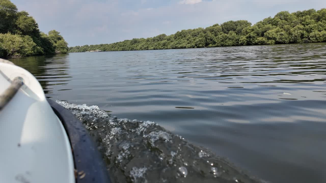 Al Zorah Mangrove in Ajman, UAE, featuring winding waterways and vibrant mangrove forests.