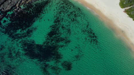 playa número uno - rocas de foca - costa norte media - nueva gales del sur - nsw - australia - tiro aéreo hacia abajo