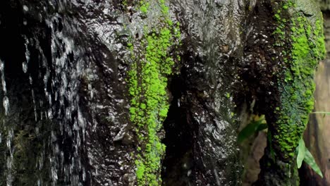 waterfall between stones with moss and slowmotion