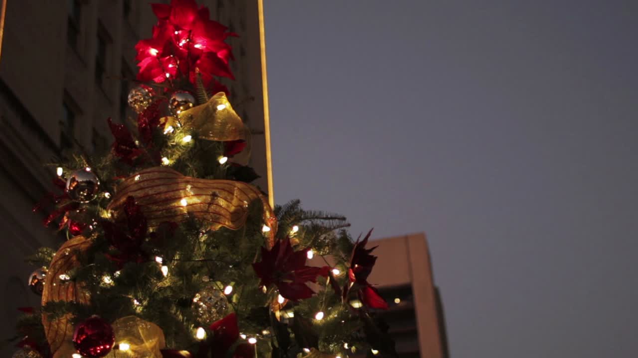 Christmas Tree in downtown San Antonio
