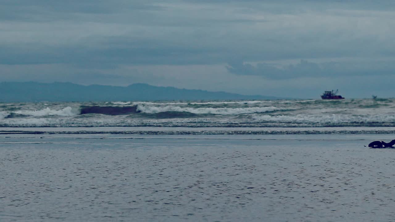 황혼 때 열대 폭풍 이후 광대한 지평선에서 파도 사이에서 흔들리는 외로운 보트의 주변 움직임