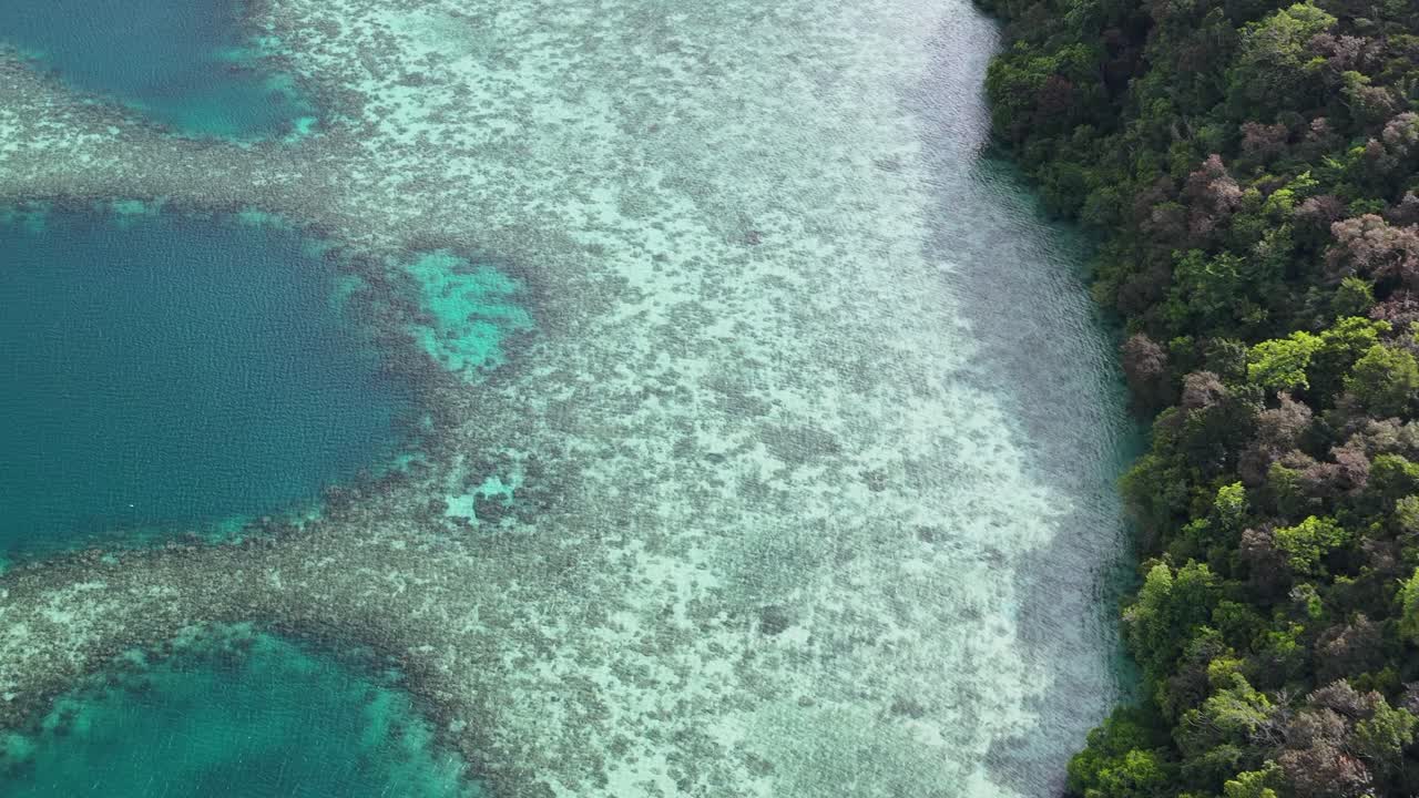 Høytliggende droneopptak avslører levende korallrev og tett grønn skog i Koror, Palau