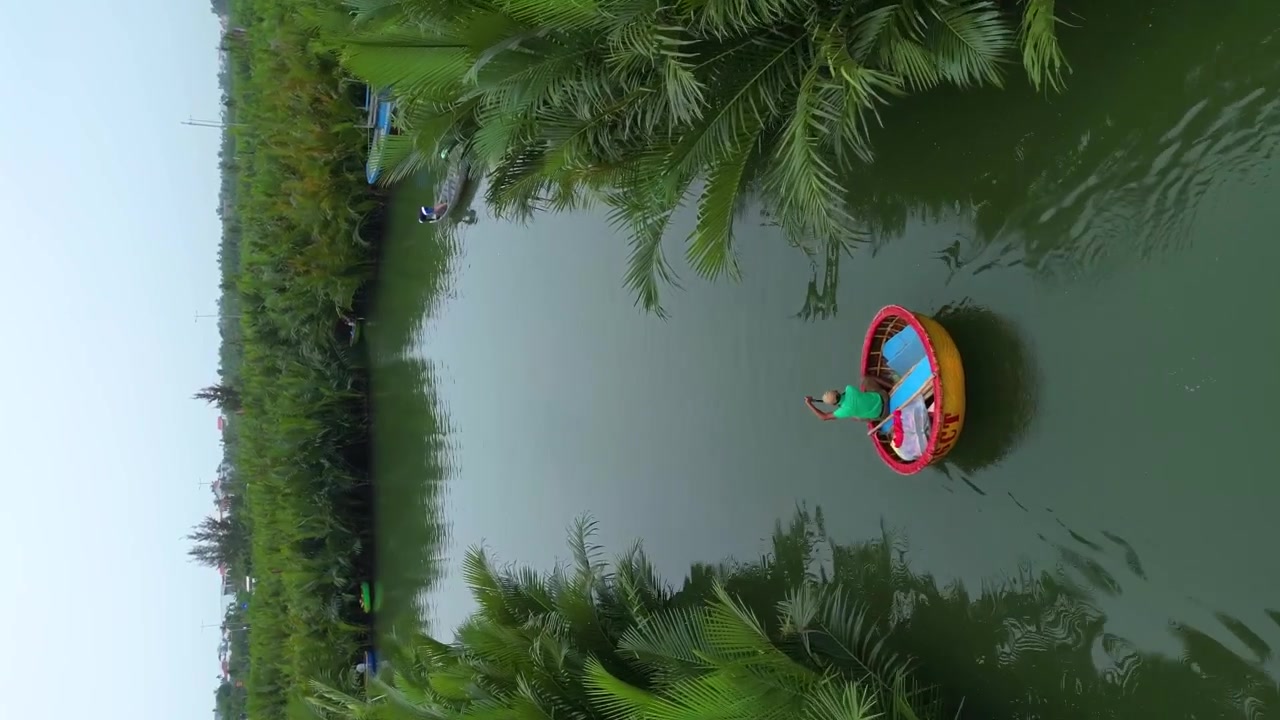 Giro in barca a cesto nella foresta di cocco di Hoi An, vegetazione lussureggiante sulle rive del fiume stretto