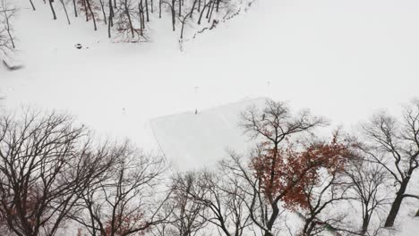 aerial, two people playing ice hockey on a small ice rink made on frozen lake