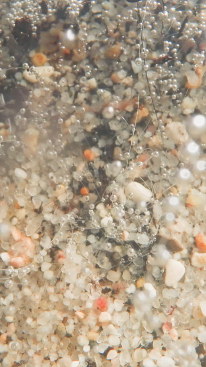 Water flow moves light colored pebbles under river surface. Glowing bubbles of air break away from shoots of leafless plant and float upwards. Whimsical underwater landscape