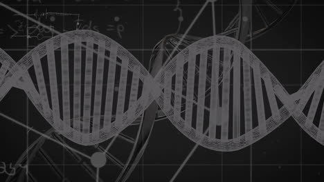 animation of mathematical equations over dna strand