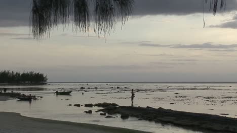 Stock-Footage-Shoreline