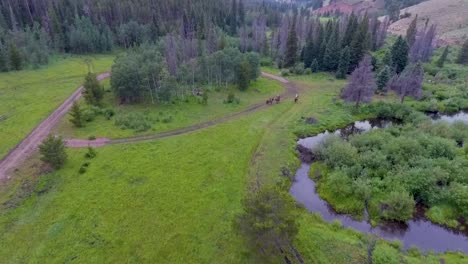 cowboys ride horses on a trail in the rocky mountains