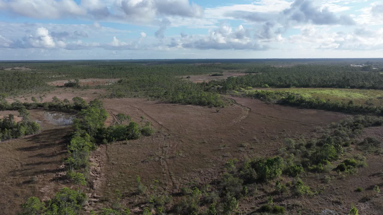 Drone flying over part of the Johm C. and Mariana Jones Hungryland Wildlife and Environmental area in Palm Beach and Martin Counties inFlorida