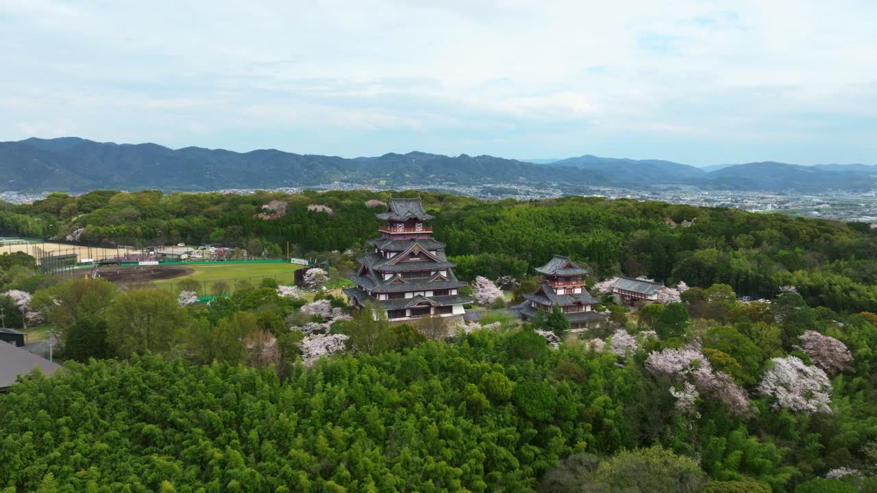 Drone view of Fushimi Castle Momoyama, Aerial fly Kyoto Spring mountain Landscape during Cherry Blossom Sakura