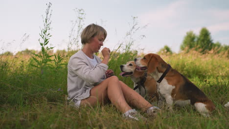 amante de mascotas sentada en un campo de hierba con sus perros, llevando su mano cerca de sus bocas mientras lo alcanzan juguetón, ambos perros tienen correas alrededor de sus cuellos, momento de unión al aire libre tranquilo en la naturaleza