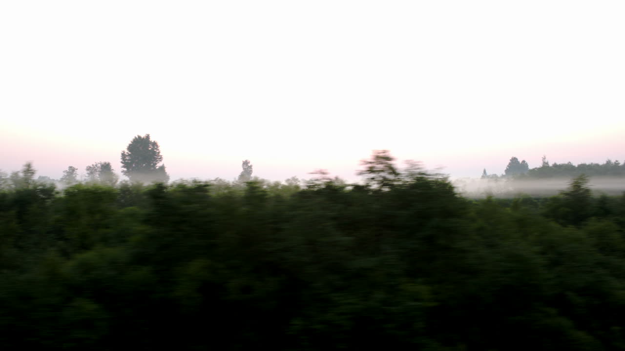 안개 속에서 시골을 지나가는 것