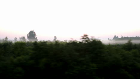 passing by countryside in a fog