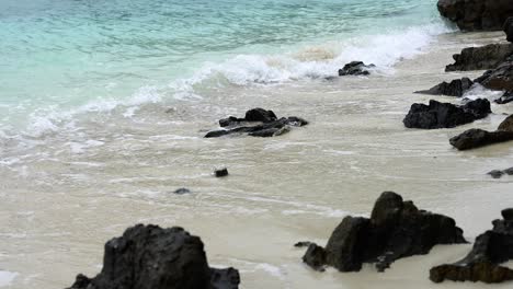 playa tropical con olas y rocas