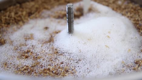 Close-up-shot-of-malted-barley-being-stirred-in-the-beer-making-process