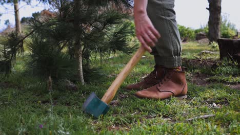 Woman-with-leather-shoes-and-pine-tree-puts-axe-on-ground