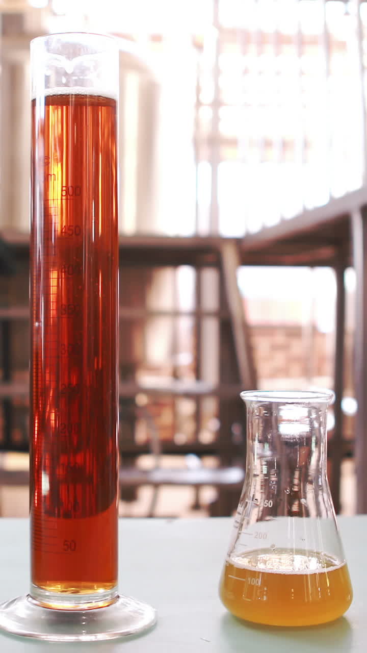 el examen de la cerveza