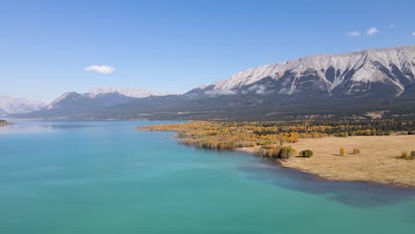 aerial view panning left over abraham lake in autumn