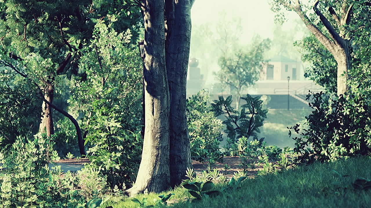 도시 의 초록색 잔디 ⁇  과 함께 공원 의 경치 좋은 전망