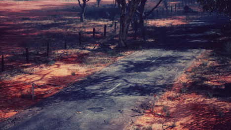 lonely road through the outback